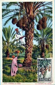 TIMBRES 1 ER JOUR (190)